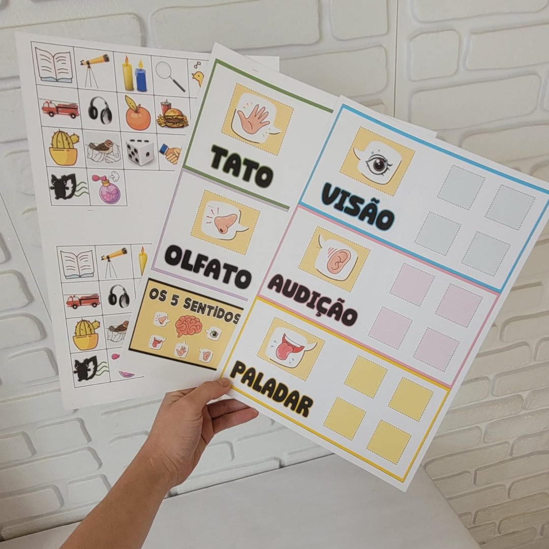 Os 5 sentidos (pranchas para pareamento)
